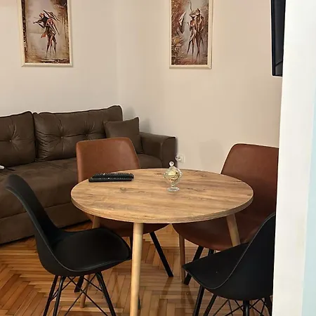 Apartment Tasha Belgrad Dış mekan fotoğraf