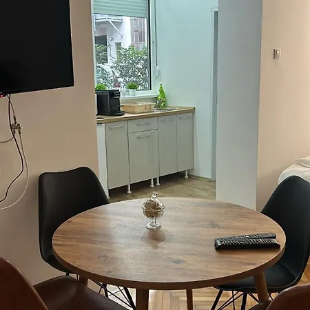 Apartment Tasha Belgrad Dış mekan fotoğraf